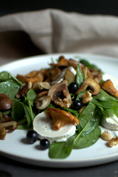 Pilzsalat mit Blaubeeren | FREE MINDED FOLKS