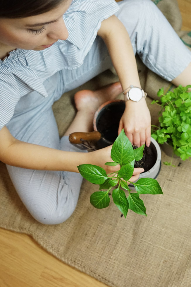 Urban Gardening: Balkon Sommerfit machen | FREE MINDED FOLKS