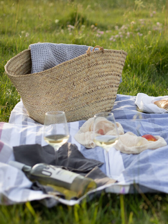 Picknick Rezepte und Ideen | FREE MINDED FOLKS