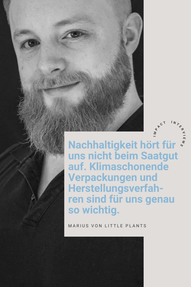 Interview mit LITTLE PLANTS | FREE MINDED FOLKS